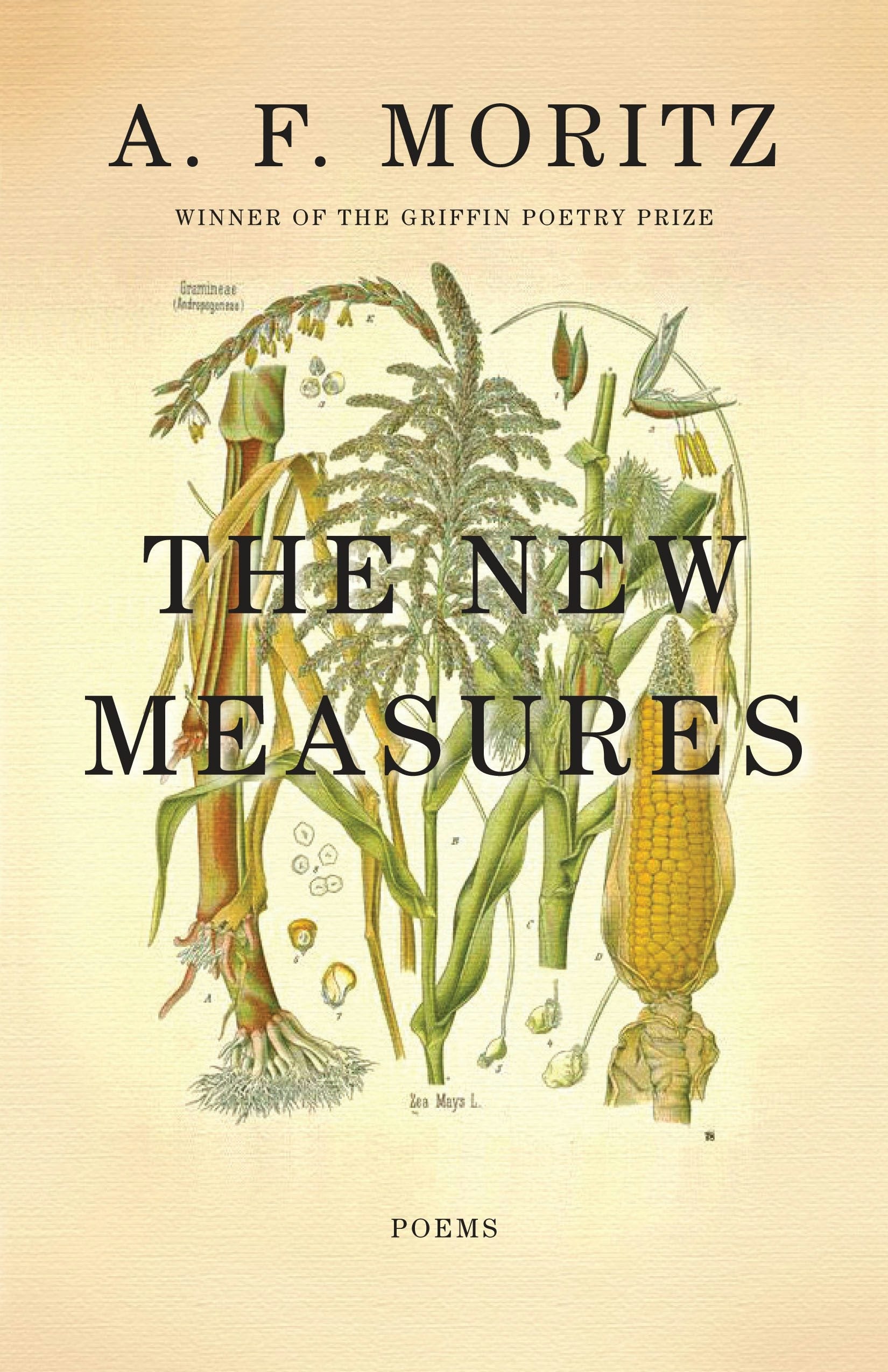 Book cover image for The New Measures ISBN: 9781770891104